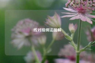 线对接绑法图解