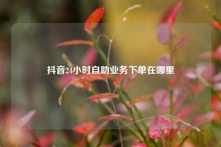 抖音24小时自助业务下单在哪里