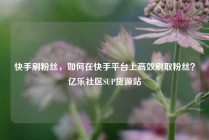快手刷粉丝，如何在快手平台上高效刷取粉丝？亿乐社区SUP货源站