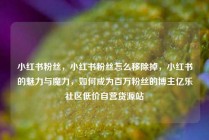 小红书粉丝，小红书粉丝怎么移除掉，小红书的魅力与魔力，如何成为百万粉丝的博主亿乐社区低价自营货源站