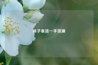 袜子拿货一手货源