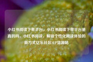 小红书阅读下单平台，小红书阅读下单平台是真的吗，小红书阅读，解锁个性化阅读体验的新方式亿乐社区SUP货源站