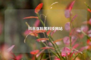 抖音涨粉黑科技网站