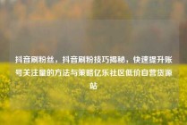 抖音刷粉丝，抖音刷粉技巧揭秘，快速提升账号关注量的方法与策略亿乐社区低价自营货源站