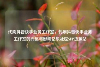 代刷抖音快手业务工作室，代刷抖音快手业务工作室的兴起与影响亿乐社区SUP货源站