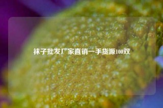 袜子批发厂家直销一手货源100双