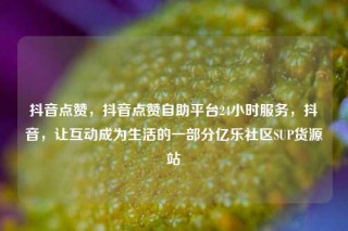 抖音点赞，抖音点赞自助平台24小时服务，抖音，让互动成为生活的一部分亿乐社区SUP货源站
