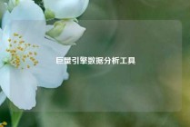 巨量引擎数据分析工具