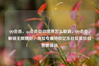 QQ会员，qq会员自动续费怎么取消，QQ会员，解锁无限精彩，体验专属特权亿乐社区低价自营货源站