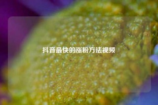 抖音最快的涨粉方法视频