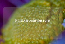 怎么样才能让抖音流量上去呢