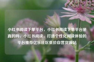 小红书阅读下单平台，小红书阅读下单平台是真的吗，小红书阅读，打造个性化阅读体验的平台推荐亿乐社区低价自营货源站