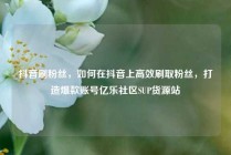 抖音刷粉丝，如何在抖音上高效刷取粉丝，打造爆款账号亿乐社区SUP货源站