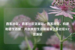 直客社区，直客社区货源站，直客社区，构建和谐生活圈，共创美好生活新篇章亿乐社区SUP货源站