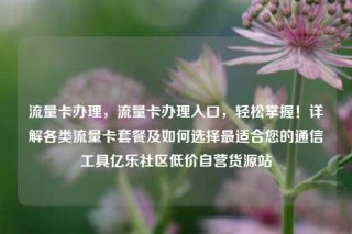 流量卡办理，流量卡办理入口，轻松掌握！详解各类流量卡套餐及如何选择最适合您的通信工具亿乐社区低价自营货源站