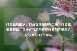 抖音在线播放，抖音在线播放网页版，抖音直播新玩法，沉浸式互动与在线观看的完美融合亿乐社区SUP货源站