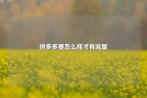 拼多多要怎么样才有流量