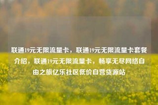 联通19元无限流量卡，联通19元无限流量卡套餐介绍，联通19元无限流量卡，畅享无尽网络自由之旅亿乐社区低价自营货源站