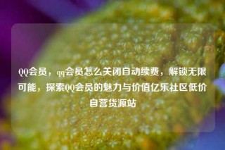 QQ会员，qq会员怎么关闭自动续费，解锁无限可能，探索QQ会员的魅力与价值亿乐社区低价自营货源站