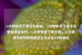 24小时快手下单平台便宜，24小时快手下单平台便宜微信支付，24小时快速下单平台，让价格成为您的购物首选亿乐社区SUP货源站