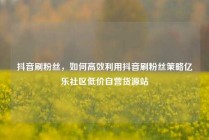 抖音刷粉丝，如何高效利用抖音刷粉丝策略亿乐社区低价自营货源站