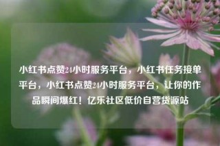 小红书点赞24小时服务平台，小红书任务接单平台，小红书点赞24小时服务平台，让你的作品瞬间爆红！亿乐社区低价自营货源站