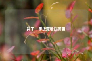 袜子一手货源地在哪里