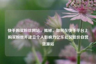 快手购买粉丝网站，揭秘，如何在快手平台上购买粉丝并建立个人影响力亿乐社区低价自营货源站