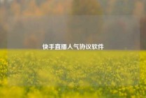 快手直播人气协议软件