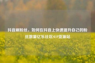 抖音刷粉丝，如何在抖音上快速提升自己的粉丝数量亿乐社区SUP货源站