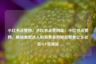 小红书点赞网，小红书点赞网址，小红书点赞网，解锁美妆达人和消费者的秘密世界亿乐社区SUP货源站