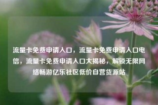 流量卡免费申请入口，流量卡免费申请入口电信，流量卡免费申请入口大揭秘，解锁无限网络畅游亿乐社区低价自营货源站