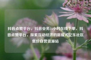 抖音点赞平台，抖音业务24小时在线下单，抖音点赞平台，探索互动经济的新模式亿乐社区低价自营货源站