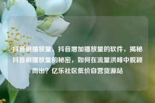 抖音刷播放量，抖音增加播放量的软件，揭秘抖音刷播放量的秘密，如何在流量洪峰中脱颖而出？亿乐社区低价自营货源站