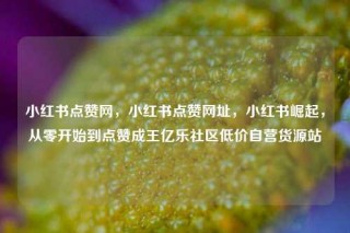 小红书点赞网，小红书点赞网址，小红书崛起，从零开始到点赞成王亿乐社区低价自营货源站