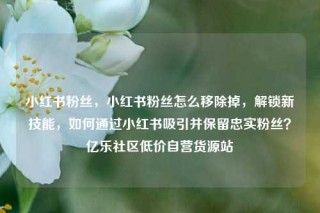 小红书粉丝，小红书粉丝怎么移除掉，解锁新技能，如何通过小红书吸引并保留忠实粉丝？亿乐社区低价自营货源站