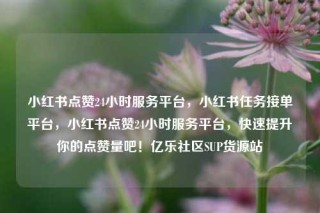 小红书点赞24小时服务平台，小红书任务接单平台，小红书点赞24小时服务平台，快速提升你的点赞量吧！亿乐社区SUP货源站