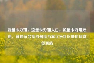 流量卡办理，流量卡办理入口，流量卡办理攻略，选择适合您的最佳方案亿乐社区低价自营货源站