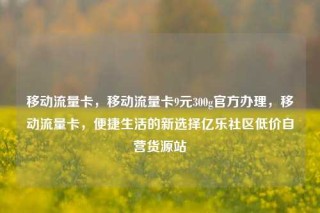 移动流量卡，移动流量卡9元300g官方办理，移动流量卡，便捷生活的新选择亿乐社区低价自营货源站