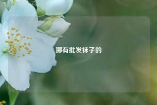 哪有批发袜子的