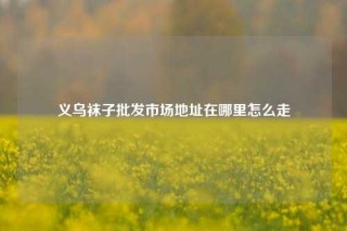 义乌袜子批发市场地址在哪里怎么走