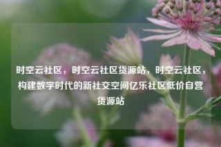 时空云社区，时空云社区货源站，时空云社区，构建数字时代的新社交空间亿乐社区低价自营货源站