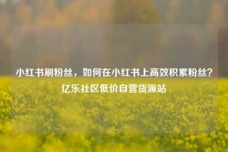 小红书刷粉丝，如何在小红书上高效积累粉丝？亿乐社区低价自营货源站
