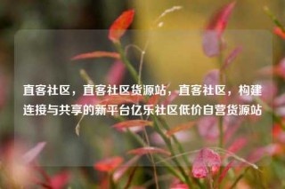 直客社区，直客社区货源站，直客社区，构建连接与共享的新平台亿乐社区低价自营货源站