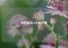 抖音粉丝24小时下单