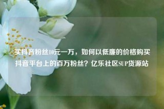 买抖音粉丝10元一万，如何以低廉的价格购买抖音平台上的百万粉丝？亿乐社区SUP货源站