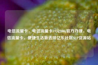 电信流量卡，电信流量卡19元200g官方办理，电信流量卡，便捷生活新选择亿乐社区SUP货源站