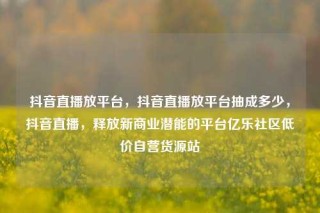 抖音直播放平台，抖音直播放平台抽成多少，抖音直播，释放新商业潜能的平台亿乐社区低价自营货源站