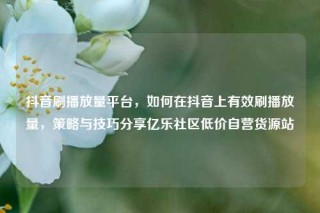 抖音刷播放量平台，如何在抖音上有效刷播放量，策略与技巧分享亿乐社区低价自营货源站