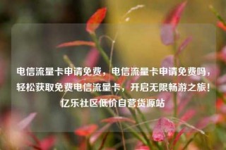 电信流量卡申请免费，电信流量卡申请免费吗，轻松获取免费电信流量卡，开启无限畅游之旅！亿乐社区低价自营货源站
